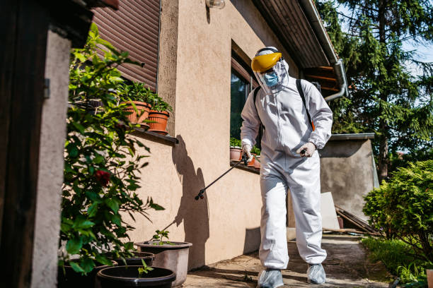 Bird Control in East Grand Rapids, MI