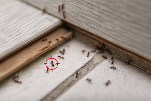East Grand Rapids, MI Pest Control Company