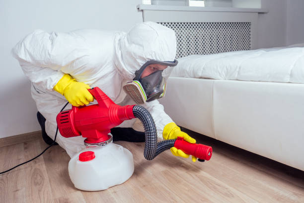 Trusted East Grand Rapids, MI Pest Control Experts