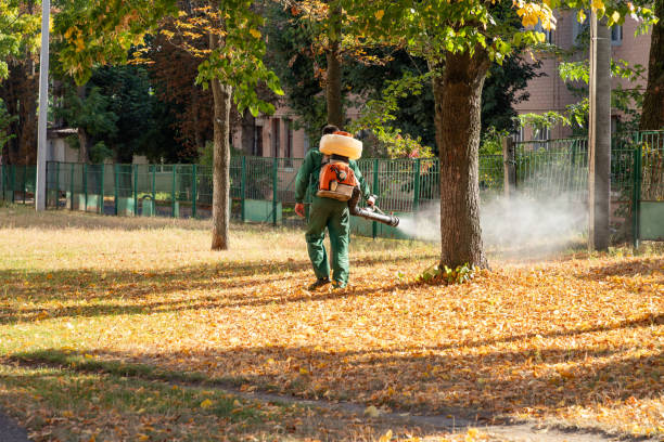 Best Pest Inspection Near Me  in East Grand Rapids, MI