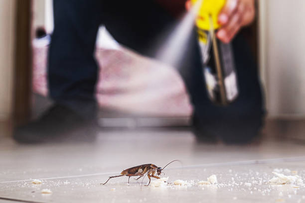 Best Wildlife Control Services  in East Grand Rapids, MI