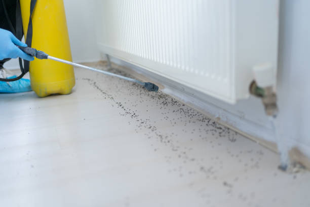 Pest Prevention Services in East Grand Rapids, MI