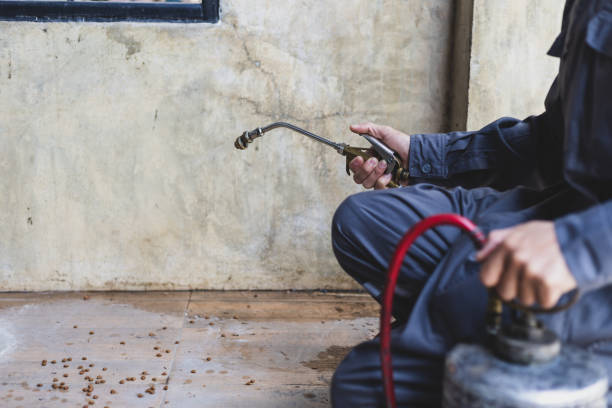 Best Pest Control Near Me  in East Grand Rapids, MI