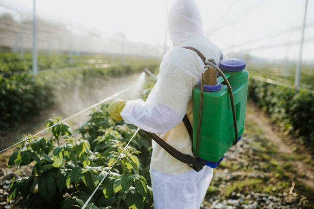 Best Affordable Pest Control Services  in East Grand Rapids, MI